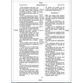 Uwspółcześniona Biblia Gdańska duża ekoskóra